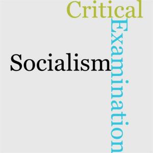 Cover of the book A Critical Examination Of Socialism by Horatio Alger