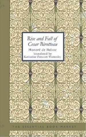 Cover of the book Rise And Fall Of Cesar Birotteau by R. J. Broadbent