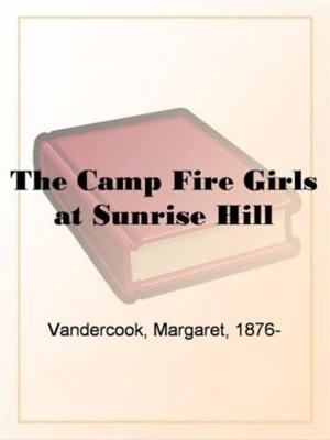 Book cover of The Camp Fire Girls At Sunrise Hill