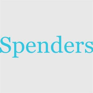Cover of the book The Spenders by Samuel Ward