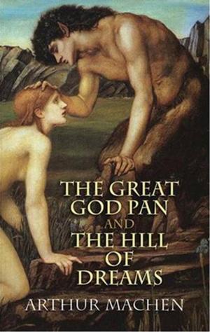 Cover of the book The Hill Of Dreams by Ian Hay