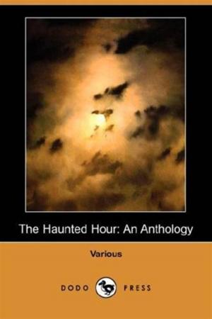 Cover of the book The Haunted Hour by C. N. Williamson