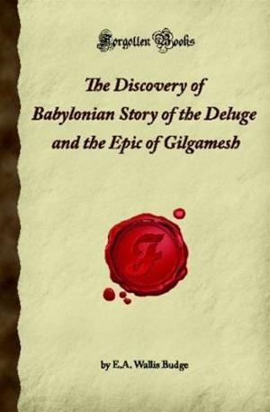 Book cover of The Babylonian Story Of The Deluge