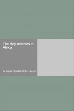 Book cover of The Boy Aviators In Africa