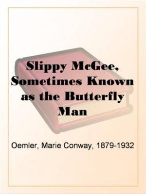 Book cover of Slippy McGee, Sometimes Known As The Butterfly Man