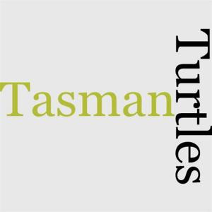 bigCover of the book The Turtles Of Tasman by 
