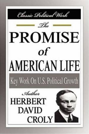 Cover of the book The Promise Of American Life by Stewart Edward White