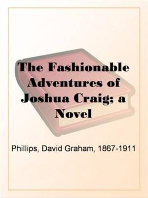 Cover of the book The Fashionable Adventures Of Joshua Craig by Bourrienne, Constant, And Stewarton