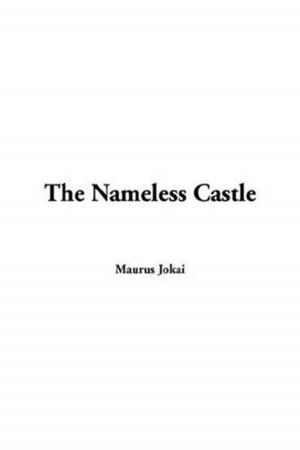 Book cover of The Nameless Castle