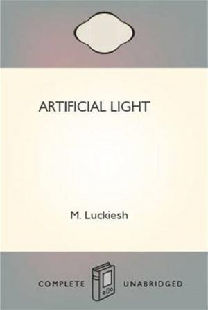 Cover of the book Artificial Light by Edwin E. Slosson