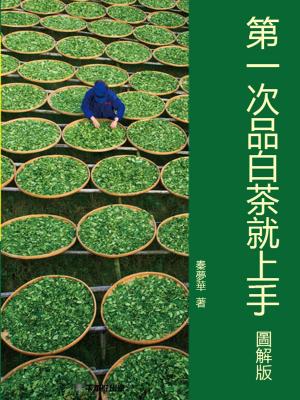 Cover of the book 第一次品白茶就上手 by Daniele Giudici