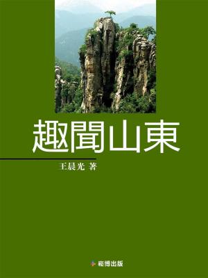 Cover of the book 趣聞山東 by Robyn Webb