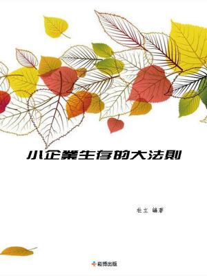 Cover of the book 小企業生存的大法則 by Joe Simpson