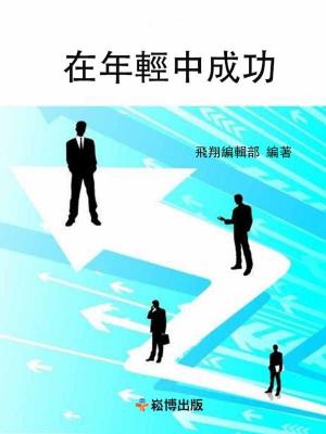 Cover of the book 在年輕中成功 by Karen Okulicz