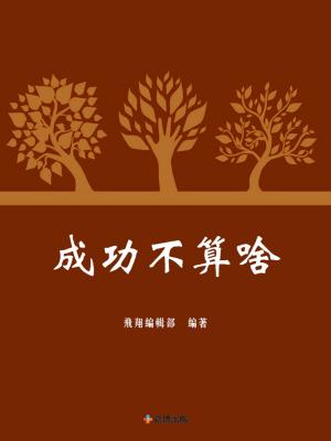 Cover of the book 成功不算啥 by Tony Neumeyer, Michelle Neumeyer