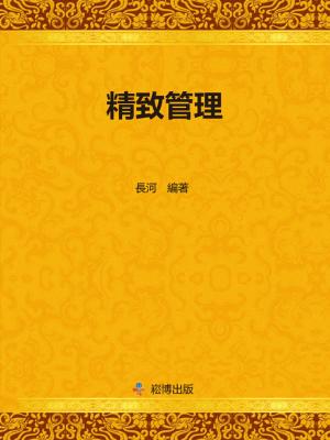 Cover of the book 精緻管理 by Chris Davidson
