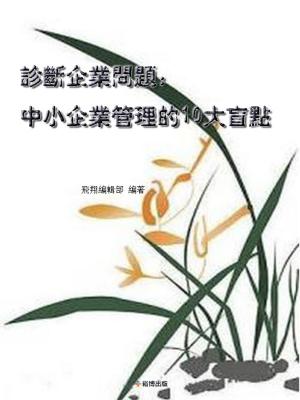 Cover of the book 診斷企業問題：中小企業管理的10大盲點 by Olaoye Folaby
