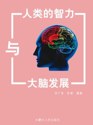 Cover of the book 人类的智力与大脑发展 by John Medina