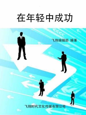 bigCover of the book 在年轻中成功 by 