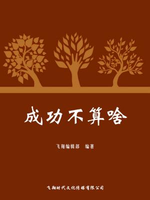 Cover of the book 成功不算啥 by Peter Verhasselt, Nick Boucart