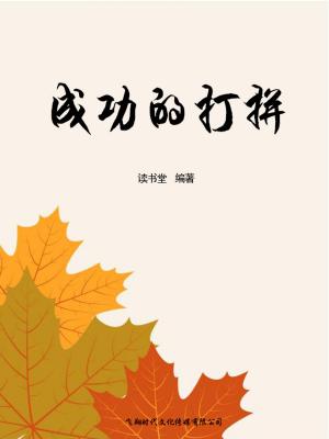 bigCover of the book 成功的打拼 by 