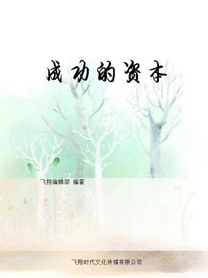 Cover of the book 成功的资本 by MSc Management Class 2010-2011