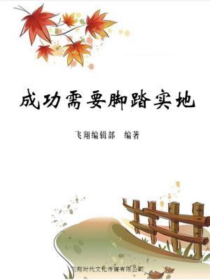 bigCover of the book 成功需要脚踏实地 by 