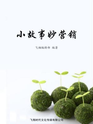 Cover of the book 小故事妙营销 by Mike Shatzkin
