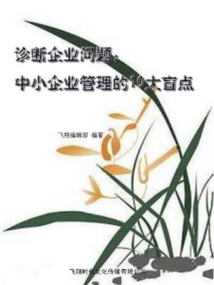Cover of the book 诊断企业问题：中小企业管理的10大盲点 by DIRK WAGNER