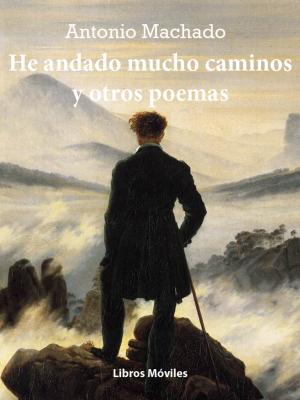 Cover of the book He andado muchos caminos y otros poemas by Federico García Lorca