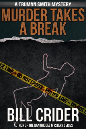 Cover of the book Murder Takes a Break by David Sakmyster