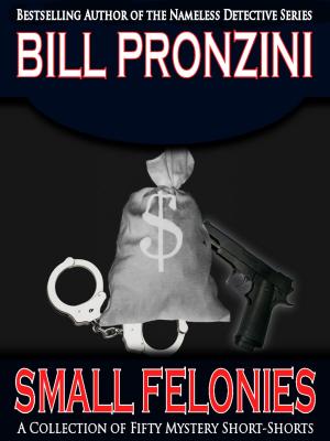 Cover of the book Small Felonies by David Rogers