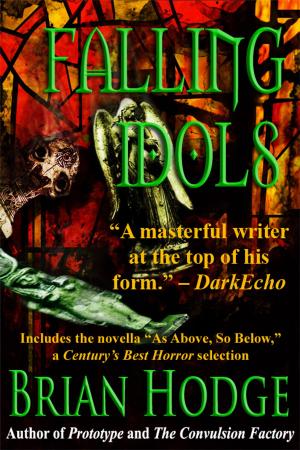 Cover of the book Falling Idols by Mike Marsh