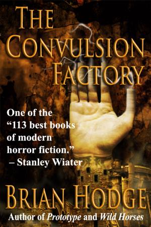 Cover of the book The Convulsion Factory by Elizabeth Massie