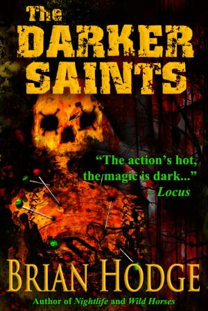 Cover of the book The Darker Saints by Michael Newton