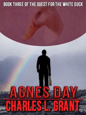 Cover of the book Agnes Day by Rick Hautala