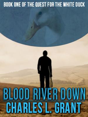 Book cover of Blood River Down