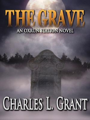 bigCover of the book The Grave by 