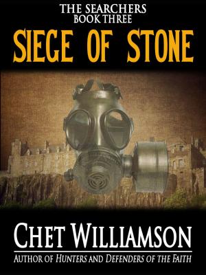 bigCover of the book Siege of Stone by 