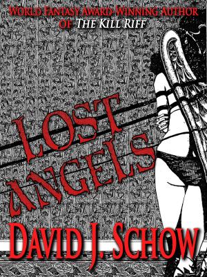 Cover of the book Lost Angels by Craig Shaw Gardner