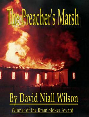 Cover of the book The Preacher's Marsh by Bill Crider