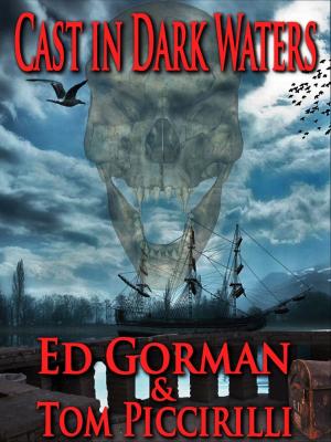 Cover of the book Cast in Dark Waters by Eric Shapiro