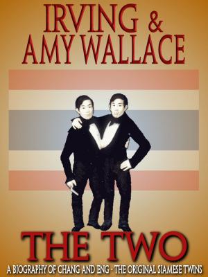 Cover of the book The Two by Chet Williamson