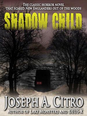 Cover of the book Shadow Child by Nicholas Kaufmann