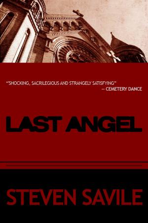 Cover of the book The Last Angel by C. T. Phipps