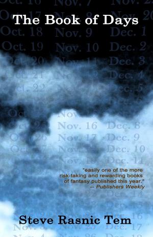 Cover of the book The Book of Days by Warren Fahy