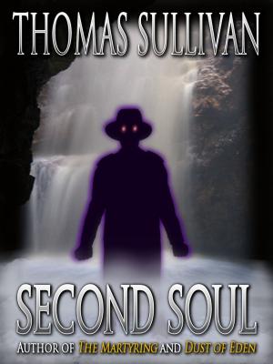 Book cover of Second Soul