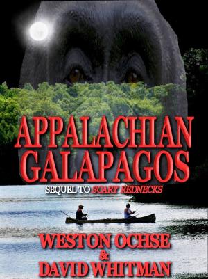 Cover of the book Appalachian Galapagos by Jeff C. Carter