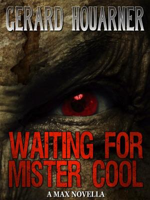 Book cover of Waiting for Mister Cool