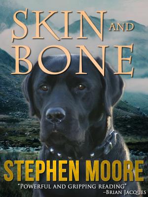 Cover of the book Skin and Bone by Eric Shapiro